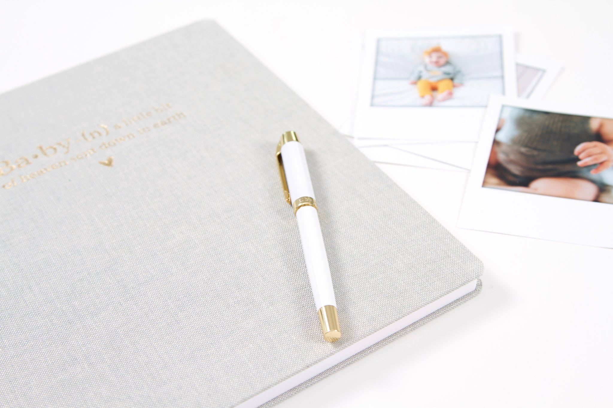 Baby Book, Mint - Chapters