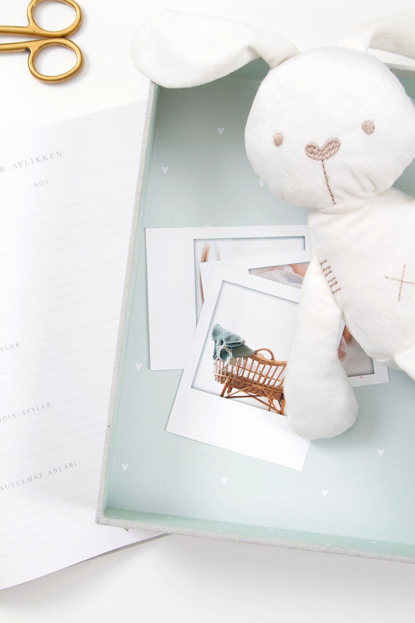 Baby Book, Mint - Chapters