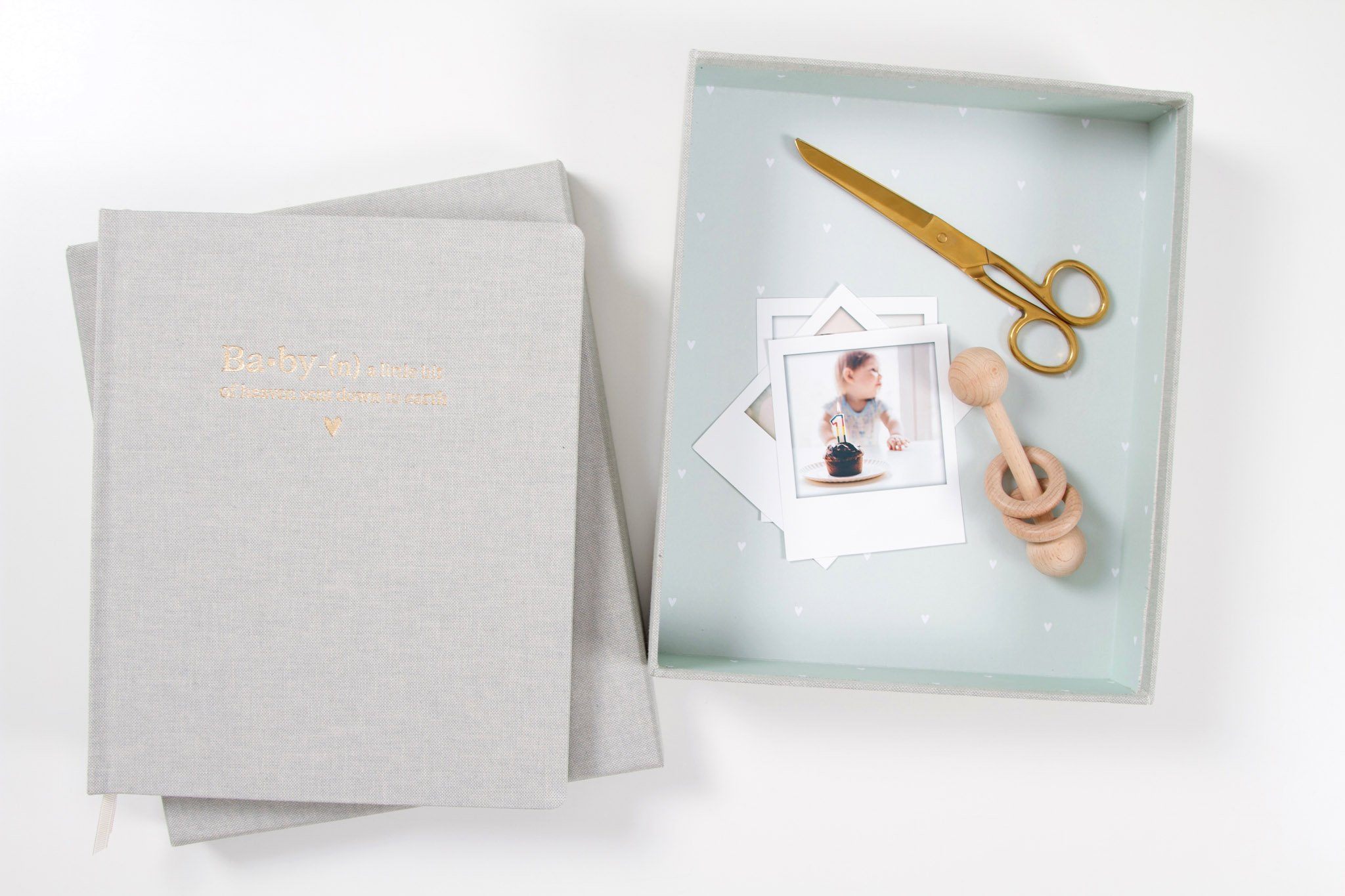 Baby Book, Mint - Chapters