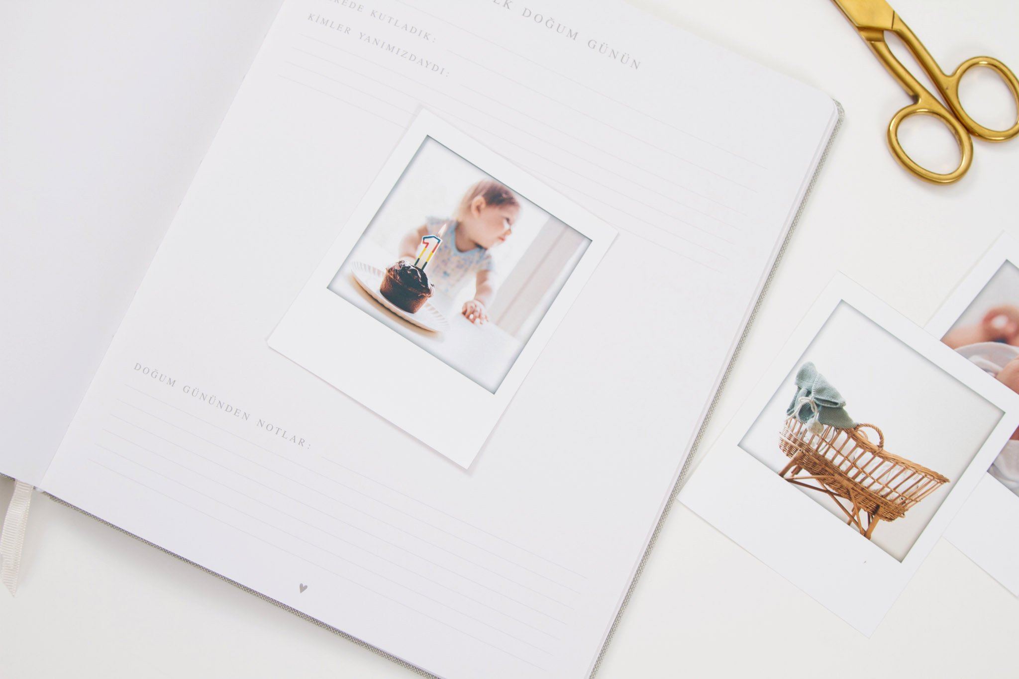 Baby Book, Mint - Chapters