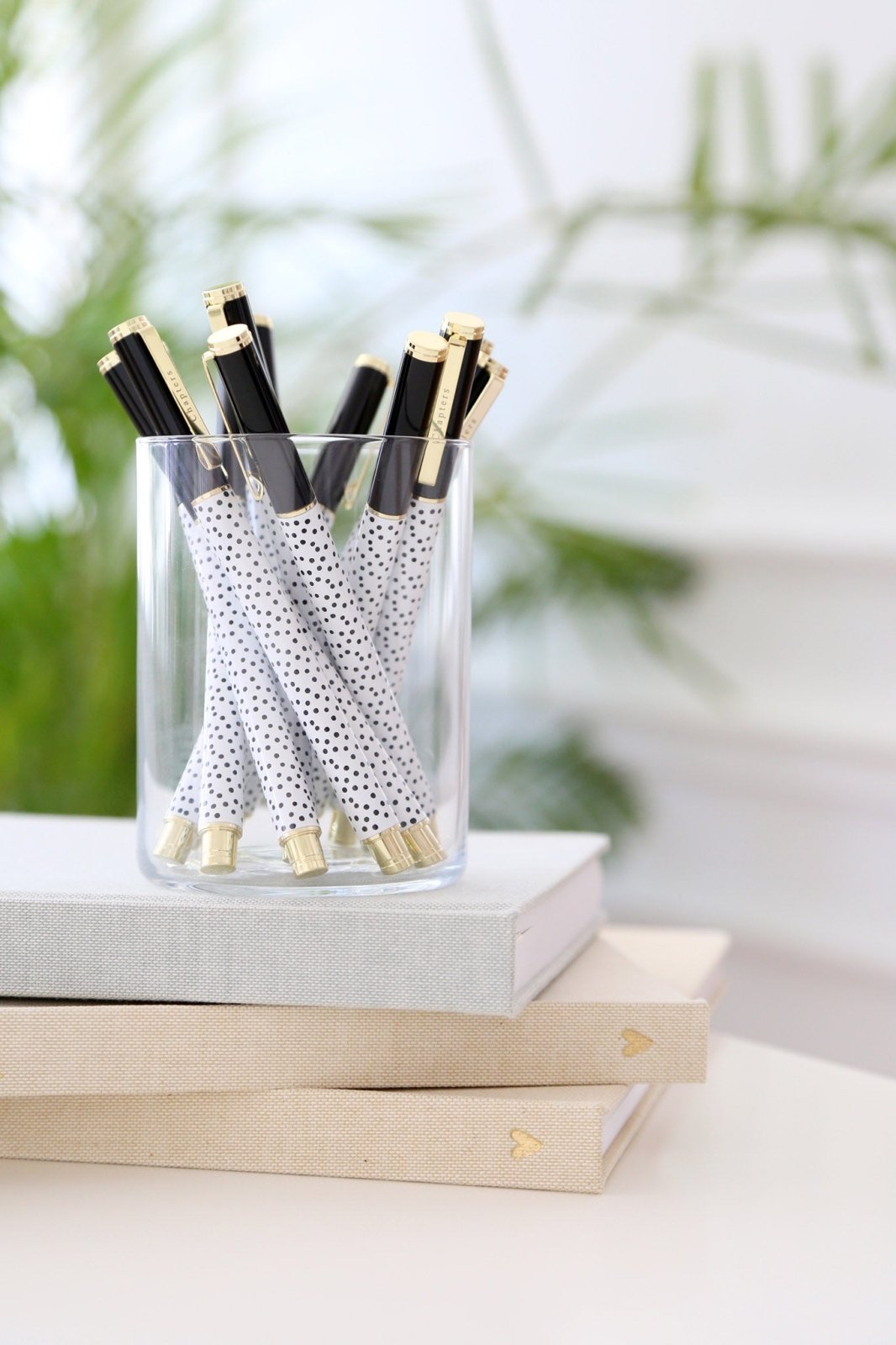 Premium Roller Pen, Dots (OUTLET) - Chapters