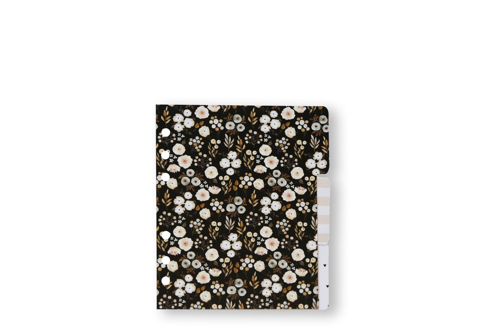 B6 3'lü Seperatör Seti 2 - Chapters